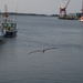 Fernandina beach 1 mei (2)