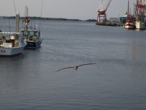 Fernandina beach 1 mei (2)