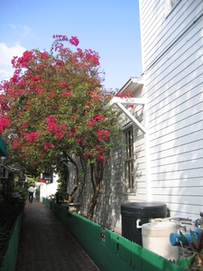 Key West 15 mei 016