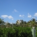 Miami 10 mei 020
