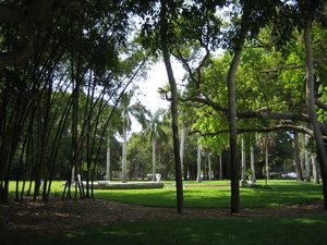 Sarasota Ringling museum 17 mei 014