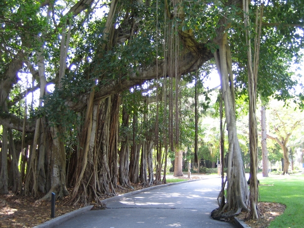 Sarasota Ringling museum 17 mei 015