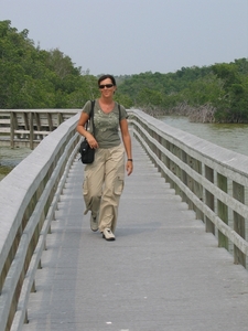 Everglades 12 mei 018
