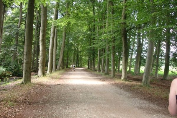 a lage vuursche 18 7 (4)