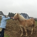 15 Ann Marie ... de dierenvriend