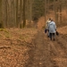 16 Door het bos