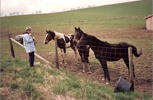 34 De paardenfluisteraar