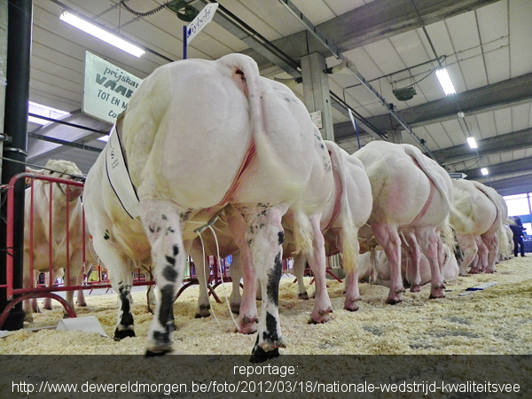 seniorennet achtersten kl