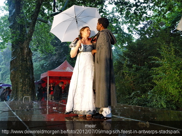 Stadspark 11 juli-viering