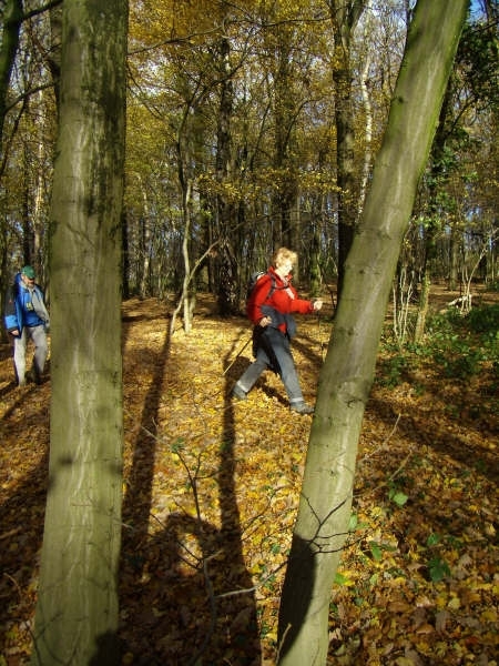 2008-11-11 KK Voeren 048