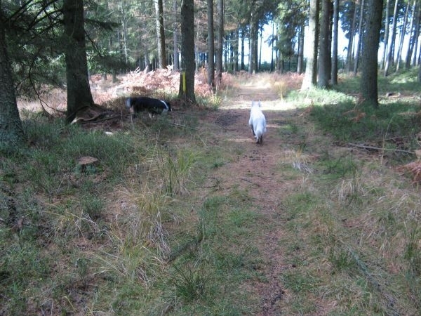 20081108 124 StHubert za