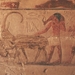 1c Saqqara_Tombe van Niankh-Khnum en Khnum-Hotep_werkers 4