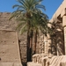 2a Karnak_tempel_beeldenrij
