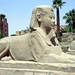 2a Luxor_tempel 14