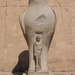 5_EDFU_Horus_tempel_Beeld van de valk-god Horus