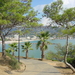 Lavandou