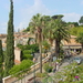 Bormes  en haut