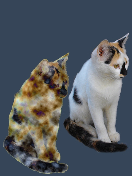 Kat zw.neus layer+filt.dif.clouds+gradient copy