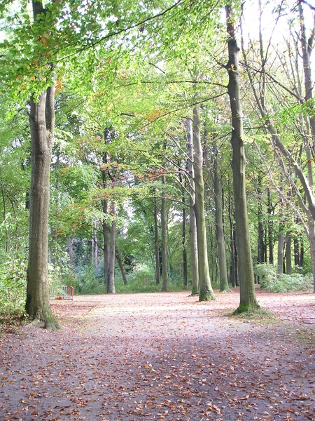 2008 oktober 005