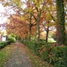 2008 oktober 007