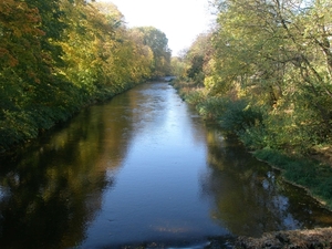 Eifel 2008 052