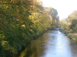 Eifel 2008 053