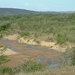 1d Hluhluwe wild park_panorama 2