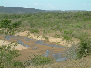 1d Hluhluwe wild park_panorama 2