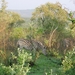 1d Hluhluwe wild park_zebra