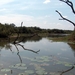 3 Kruger National Park_landschap 4