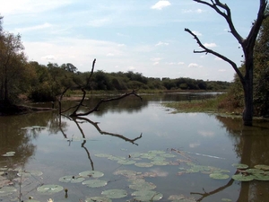 3 Kruger National Park_landschap 4