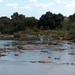 3 Kruger National Park_landschap 5