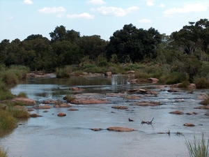 3 Kruger National Park_landschap 5
