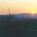 4  Ohrigstad_Hannah Lodge_sunset safari_zonsondergang