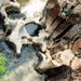 4 Bourke's Luck Potholes 9