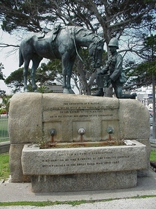 5 Port Elisabeth_horse memorial_ als eer voor de vele gesneuvelde