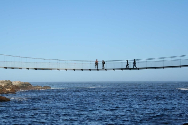 6 Tsitsikamma Nationaal Park _Storms river_hangbrug 4