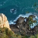 6b Knysna _Featherbed Nature Reserve 3