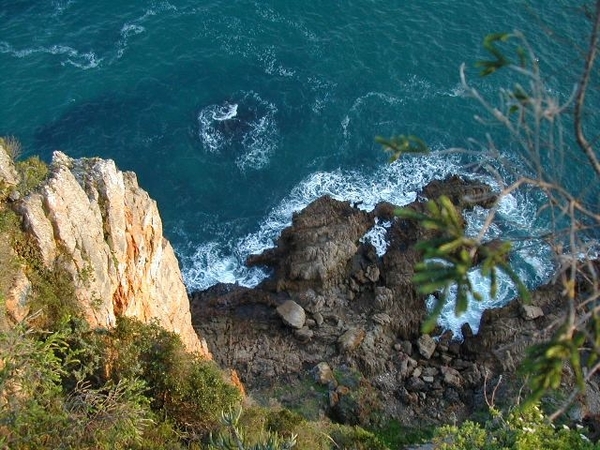 6b Knysna _Featherbed Nature Reserve 3