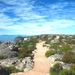 8 Kaapstad _tafelberg _wandelpad