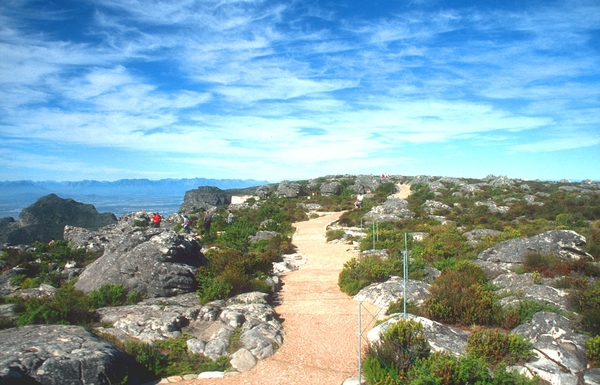 8 Kaapstad _tafelberg _wandelpad