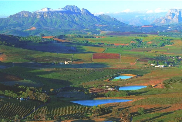 8b Kaapstad _omg_Stellenbosch _panorama