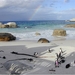 8c Kaapstad _omg_Boulders_brilpinguins_kolonie 3