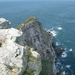 8c Kaapstad _omg_Kaap de goede hoop _Cape Point 4