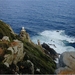 8c Kaapstad _omg_Kaap de goede hoop _Cape Point_een vuurtoren is 