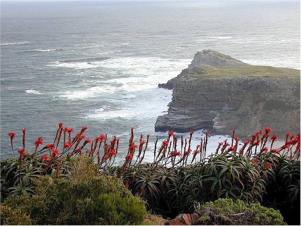 8c Kaapstad _omg_Kaap de goede hoop _Cape Point_waar 2 oceanen zi