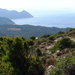Cap Corse