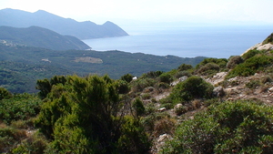 Cap Corse