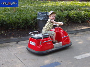 bokrijk_27_juli_2008