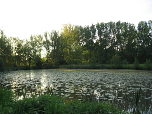 IMG_0045